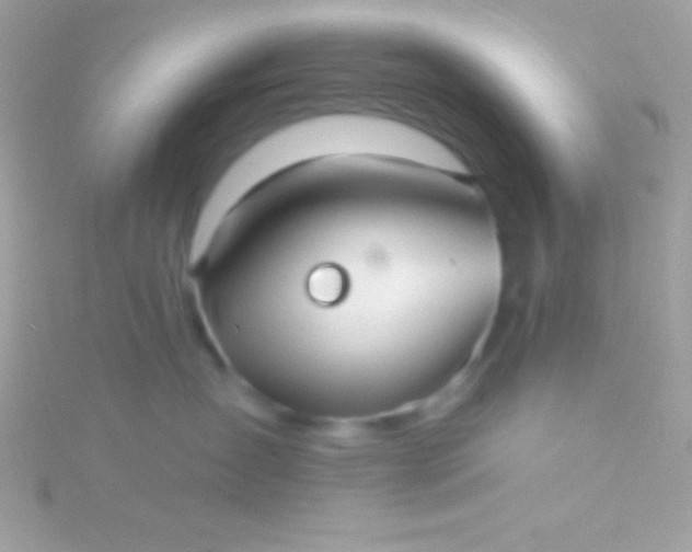 X0000115730431200911251942