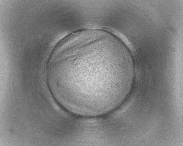 X0000115730433200911251941