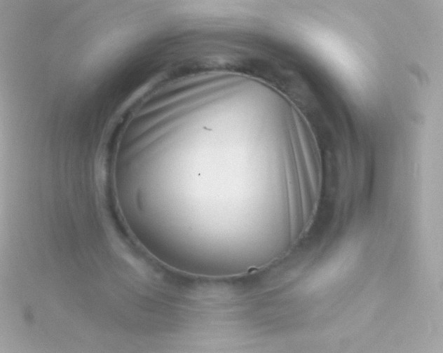 X0000115730435200911251941