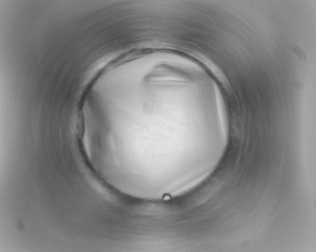 X0000115730437200911251941