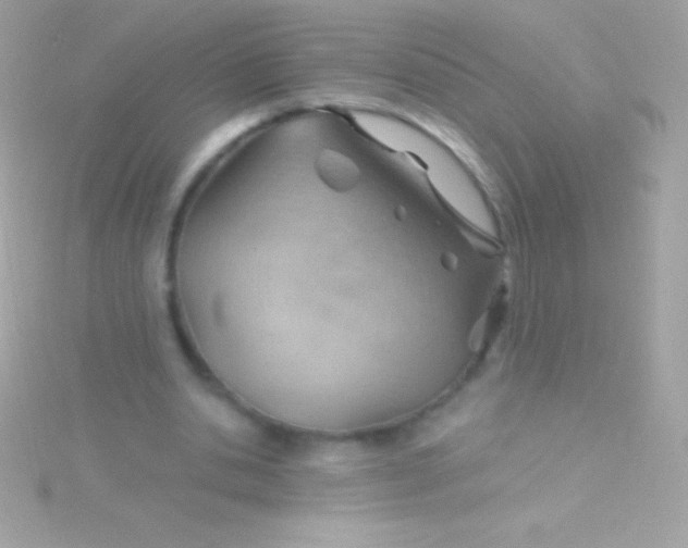 X0000115730438200911251941