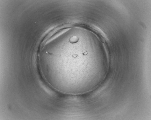 X0000115730439200911251941