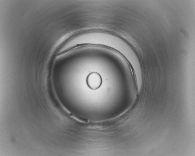 X0000115730440200911251941