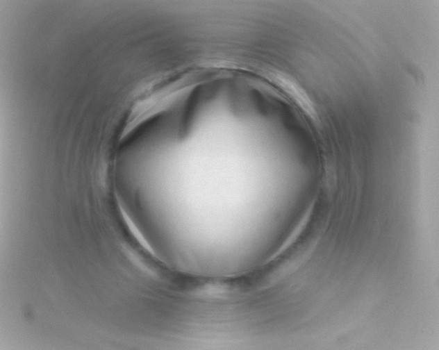 X0000115730441200911251941