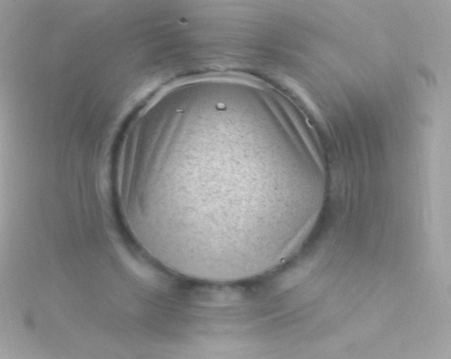 X0000115730443200911251942