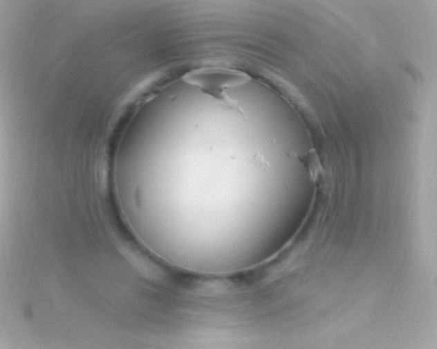 X0000115730446200911251942