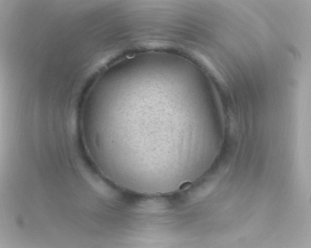 X0000115730447200911251942