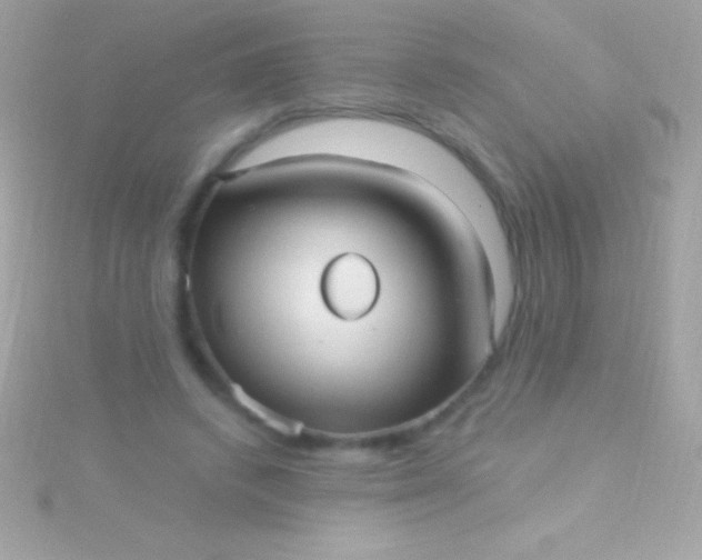 X0000115730448200911251942