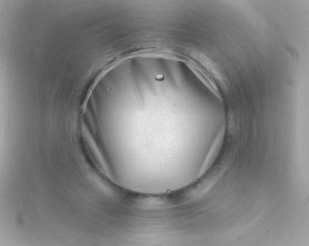 X0000115730449200911251942