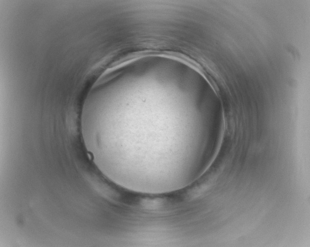 X0000115730450200911251942