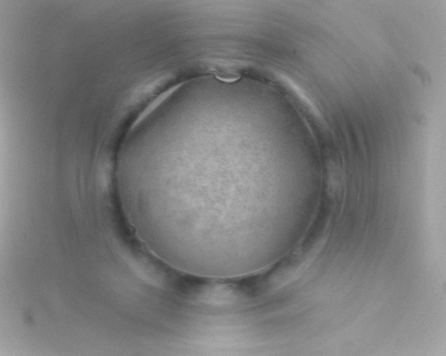 X0000115730451200911251942