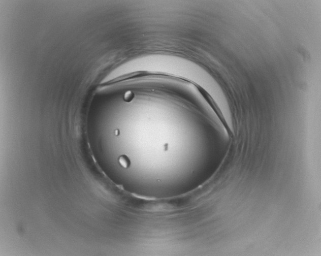 X0000115730452200911251942