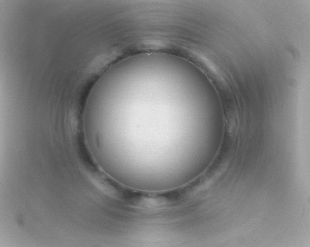 X0000115730455200911251942