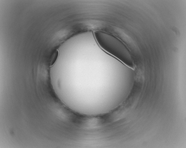 X0000115730456200911251942