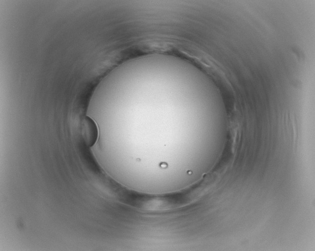 X0000115730460200911251942