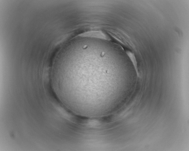 X0000115730462200911251942