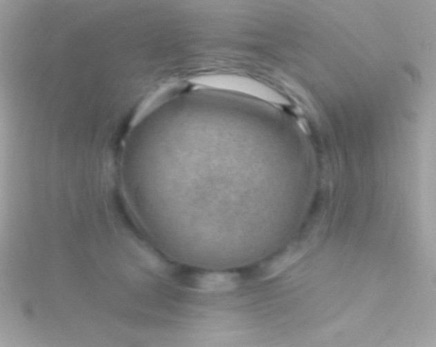 X0000115730465200911251942