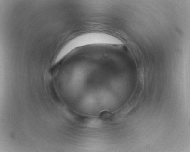 X0000115730471200911251942