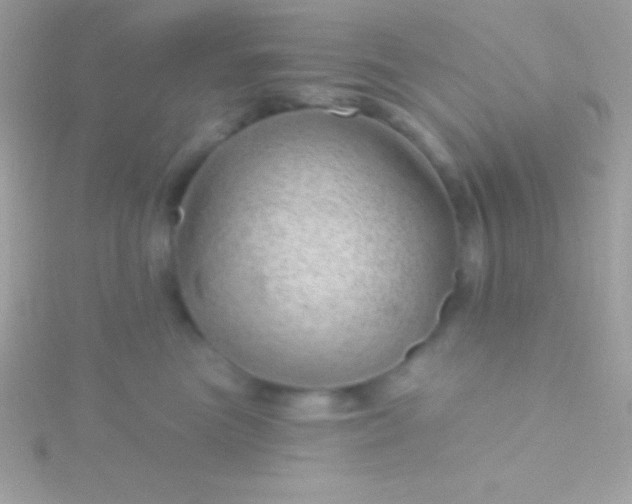 X0000115730473200911251942