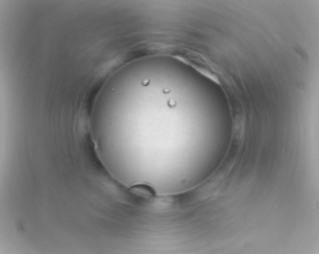 X0000115730474200911251942