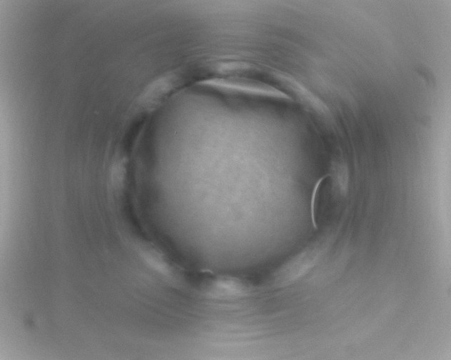 X0000115730475200911251942