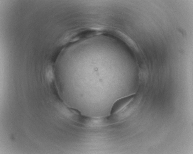 X0000115730479200911251942