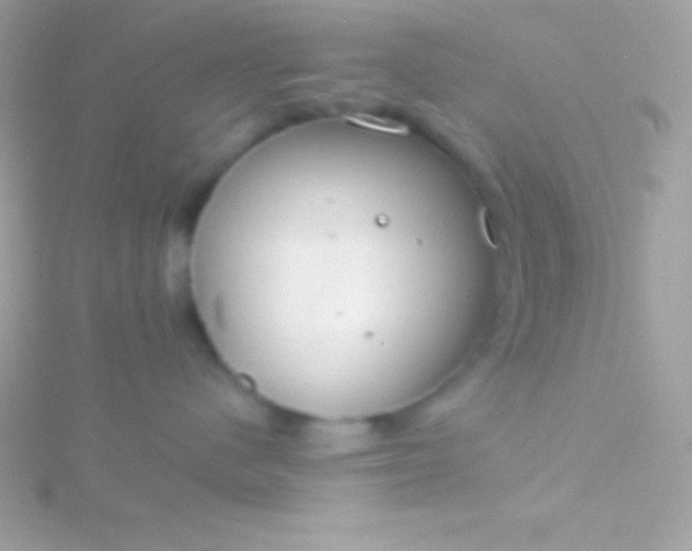 X0000115730480200911251942