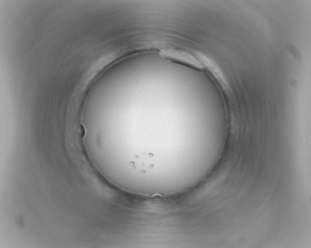 X0000115730481200911251941