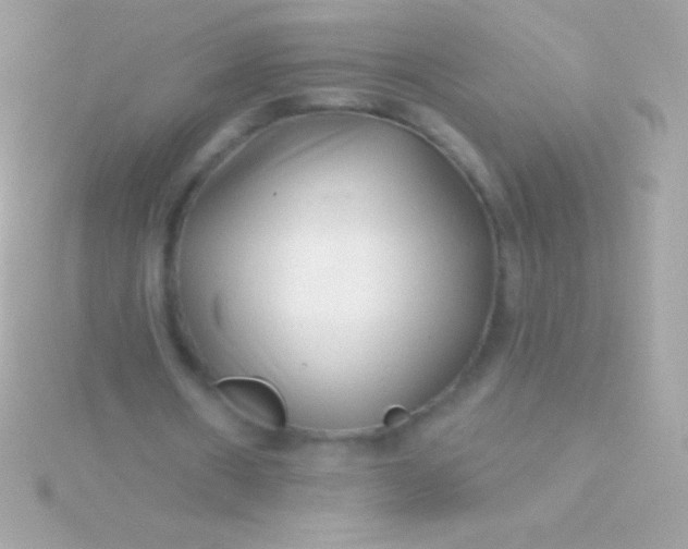 X0000115730482200911251941