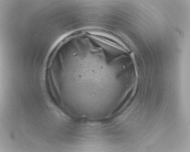 X0000115730484200911251941