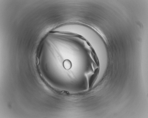 X0000115730485200911251941