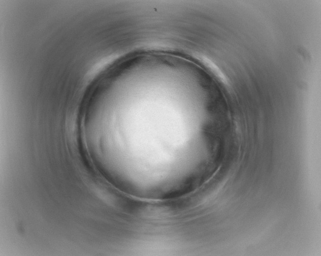 X0000115730487200911251941