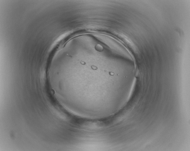 X0000115730488200911251941