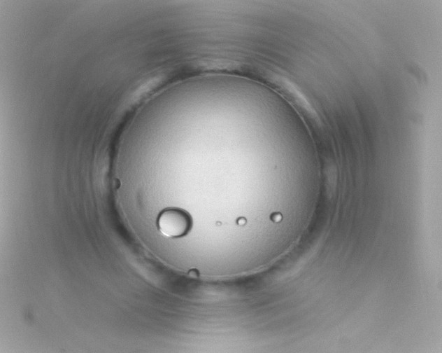 X0000115730490200911251941