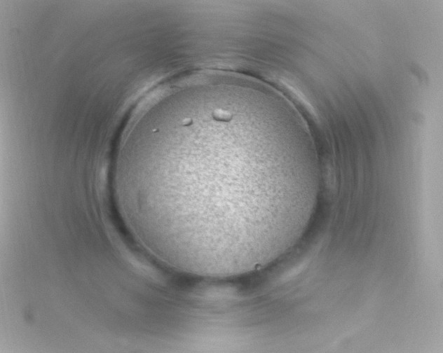 X0000115730491200911251941