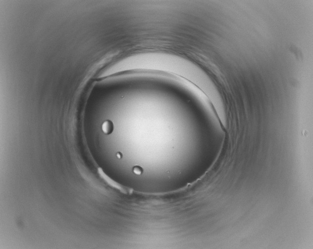 X0000115730492200911251941