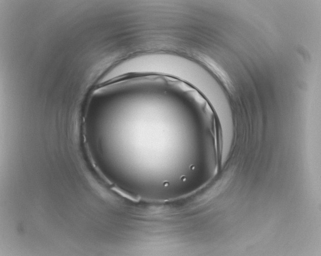 X0000115730493200911251941