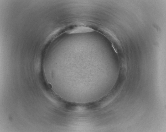 X0000115730496200911251941