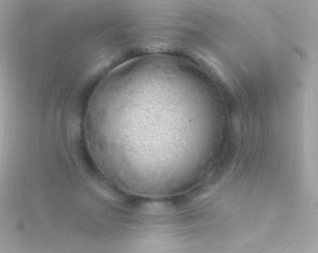 X0000115730499200911251941