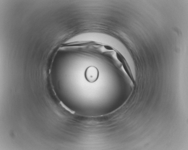 X0000115730500200911251941