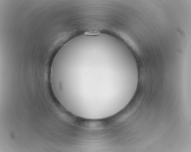 X0000115730501200911251941