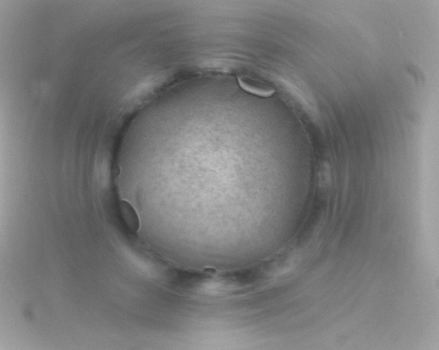 X0000115730504200911251941