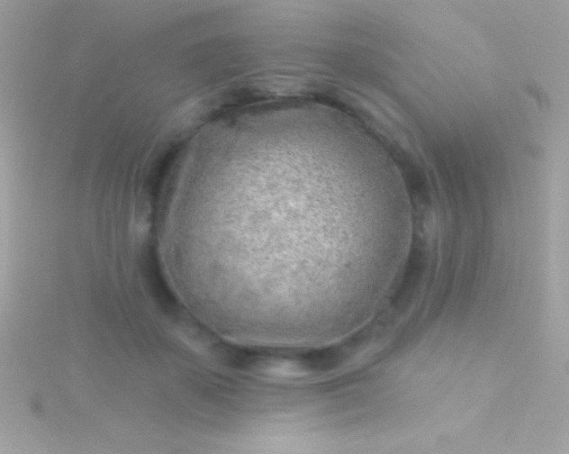 X0000115730507200911251941