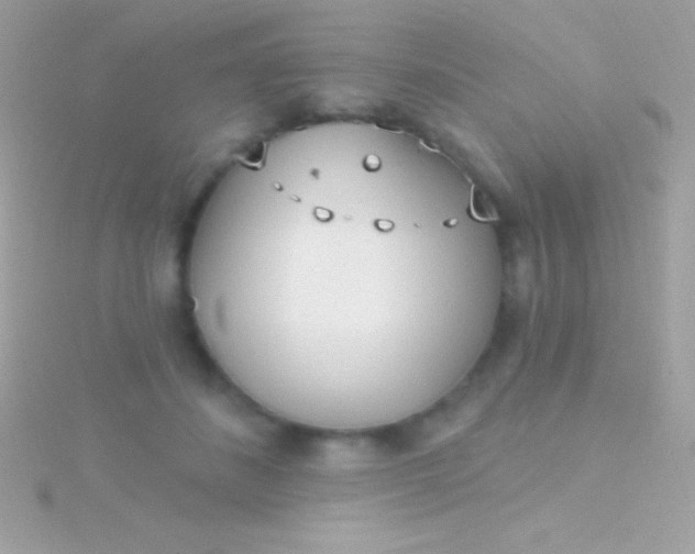 X0000115730508200911251941