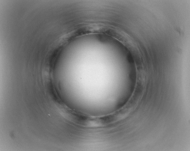 X0000115730510200911251941