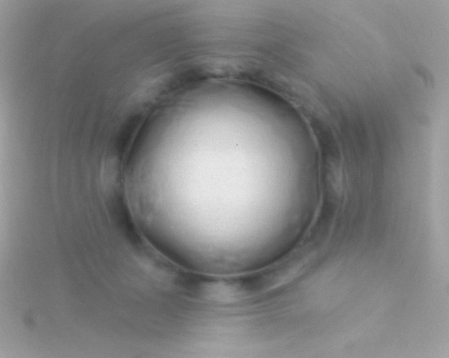 X0000115730511200911251941