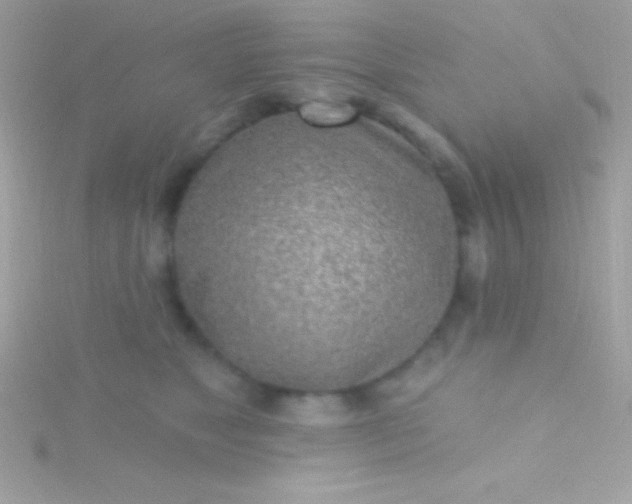 X0000115730517200911251941