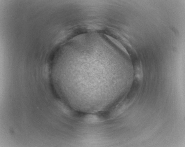 X0000115730519200911251941