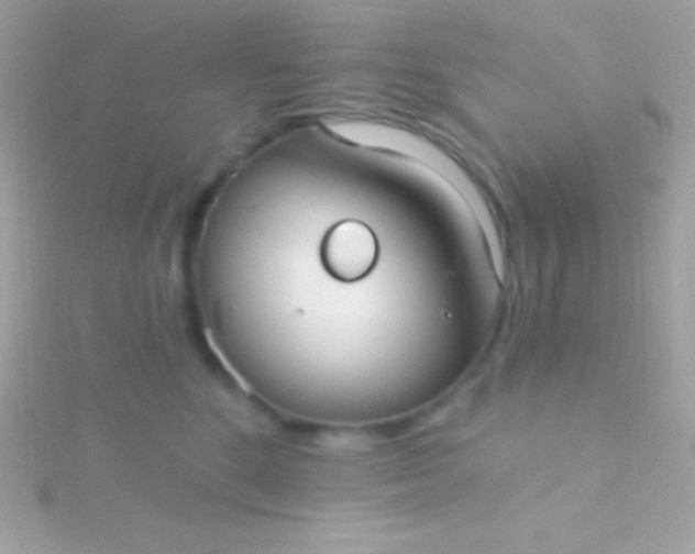 X0000115730520200911251941