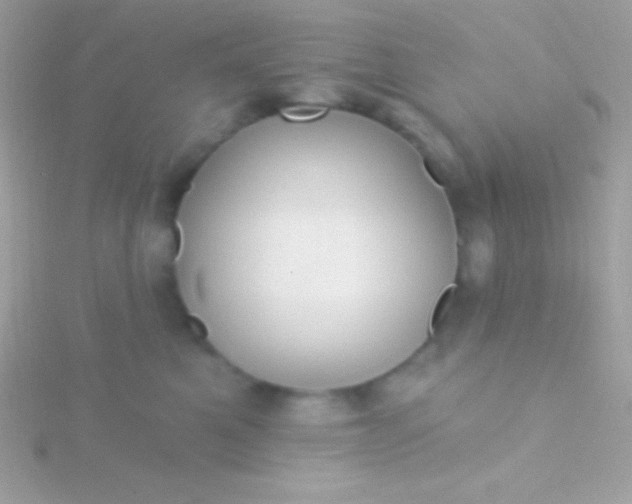 X0000115730521200911251941